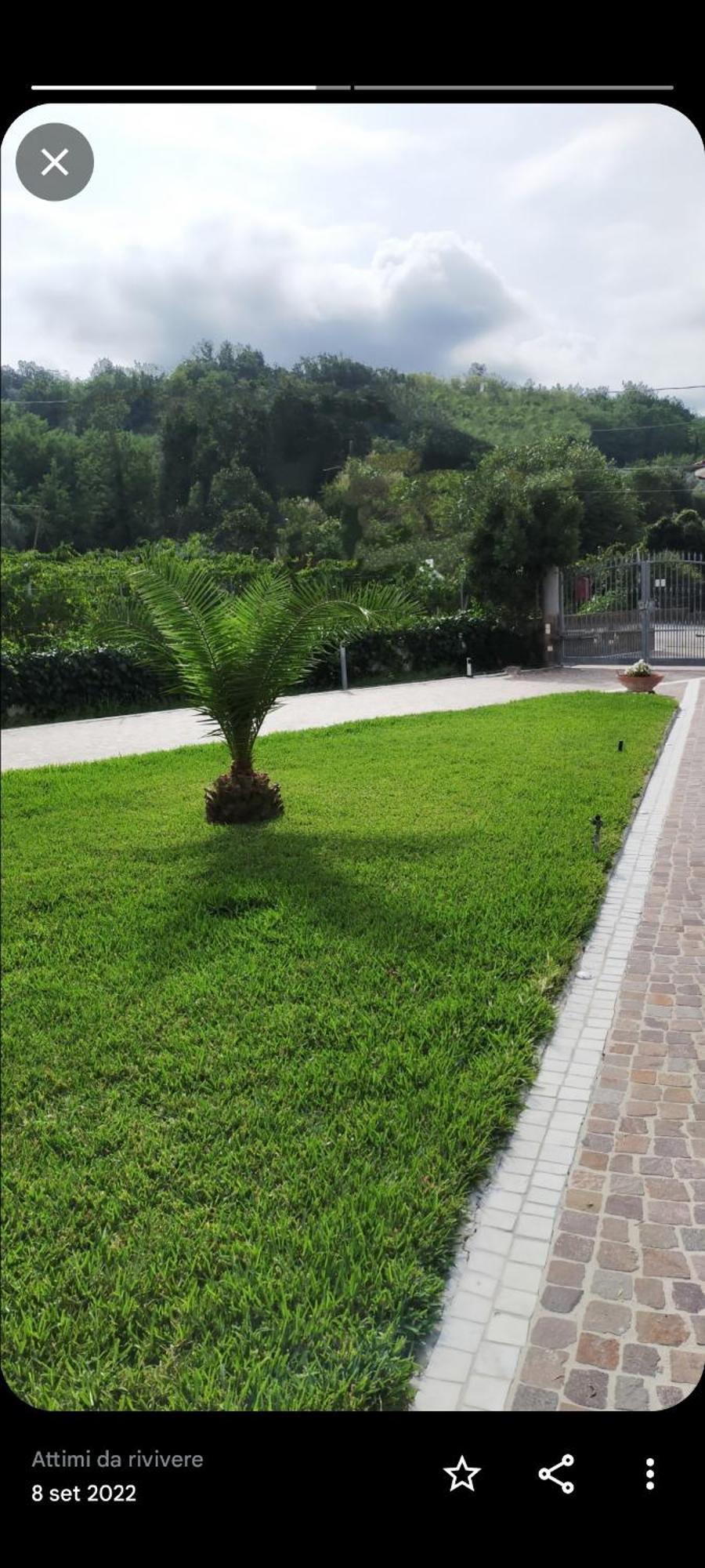 Al Boschetto Bed & Breakfast Melizzano Bagian luar foto