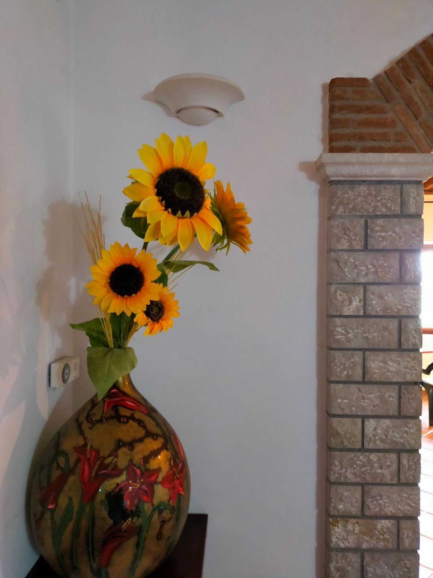 Al Boschetto Bed & Breakfast Melizzano Bagian luar foto