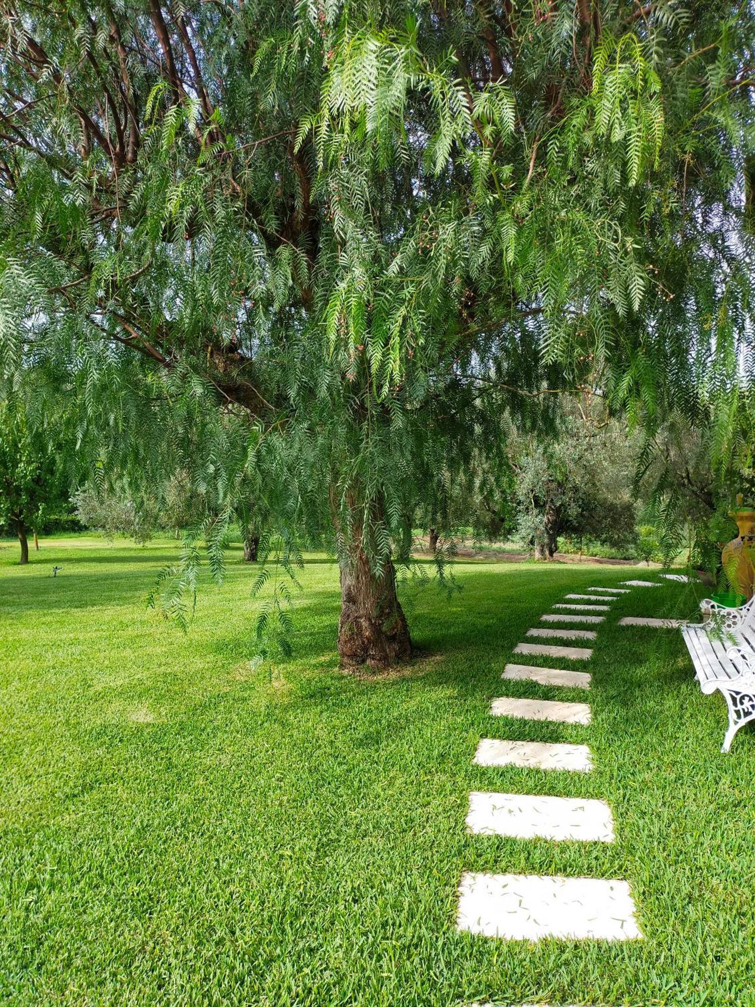 Al Boschetto Bed & Breakfast Melizzano Bagian luar foto
