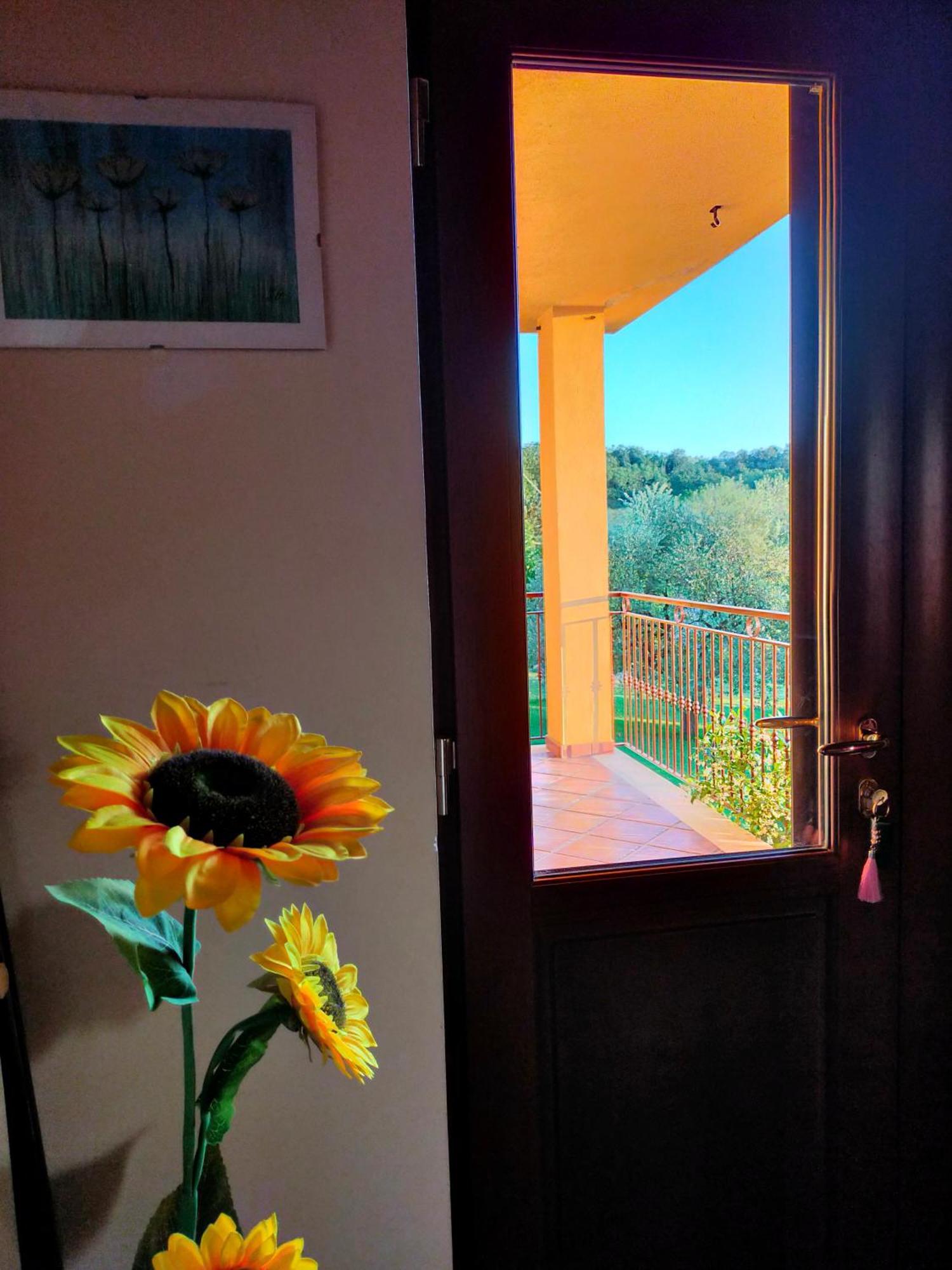 Al Boschetto Bed & Breakfast Melizzano Bagian luar foto